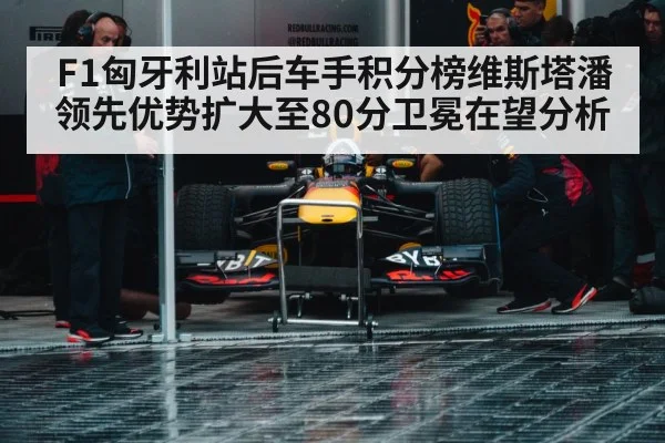 Max Verstappen Red Bull racing